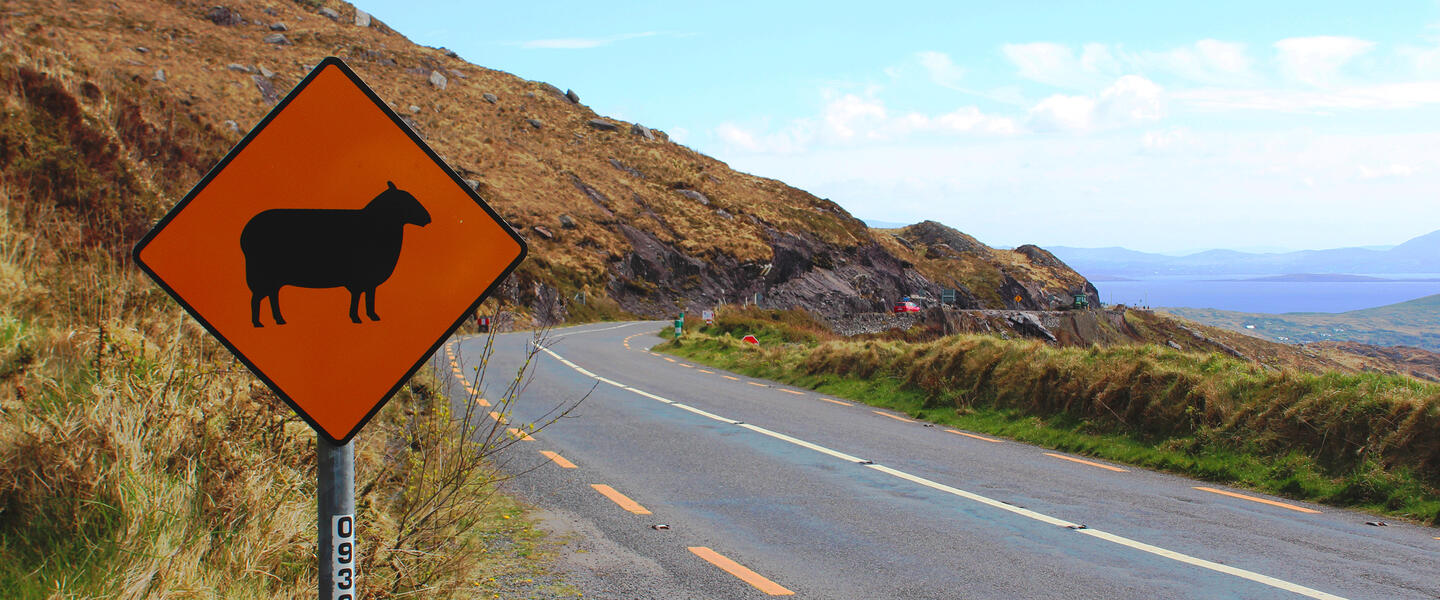 Irland ─ Fáilte grüne Insel Irland ─ Fáilte grüne Insel