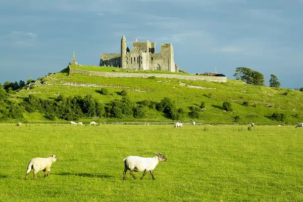 Irland ─ Fáilte grüne Insel