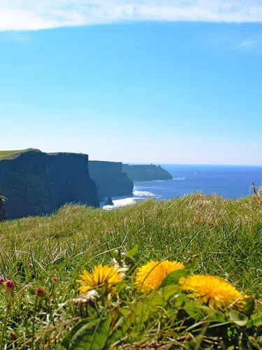 Irland ─ Fáilte grüne Insel