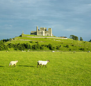 Irland ─ Fáilte grüne Insel