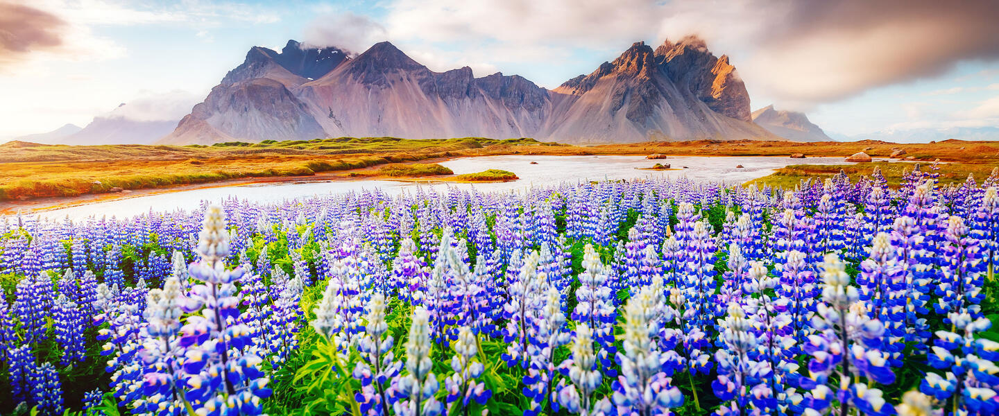 Island ─ Auf der Jagd nach den Nordlichtern Island ─ Auf der Jagd nach den Nordlichtern