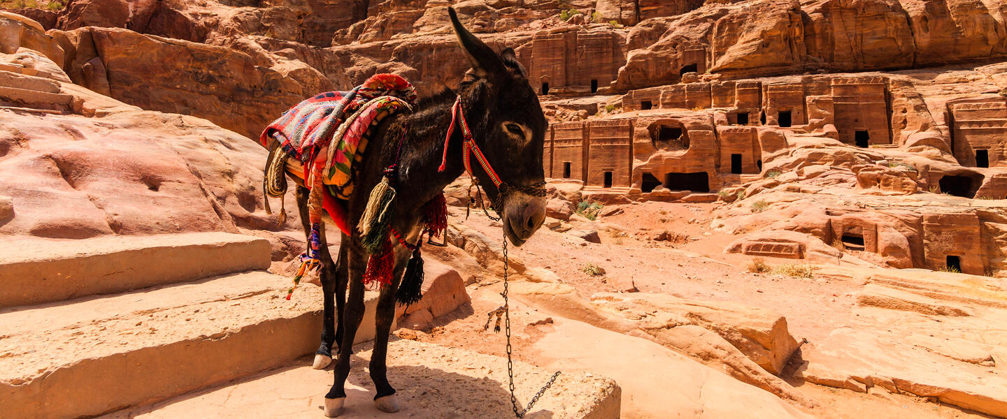Jordaniens Schätze Jordaniens Schätze