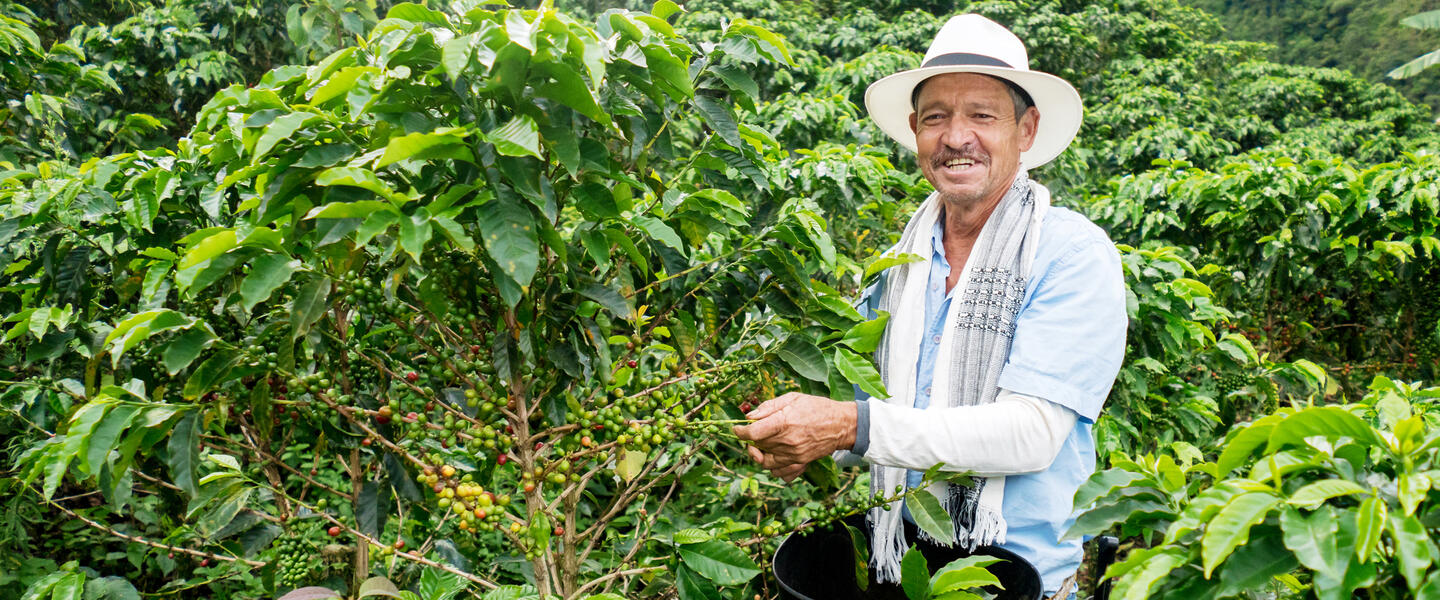 Kolumbien - unentdecktes El Dorado