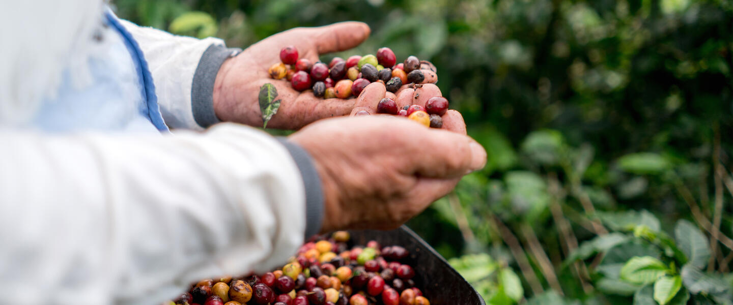 Kolumbien - unentdecktes El Dorado