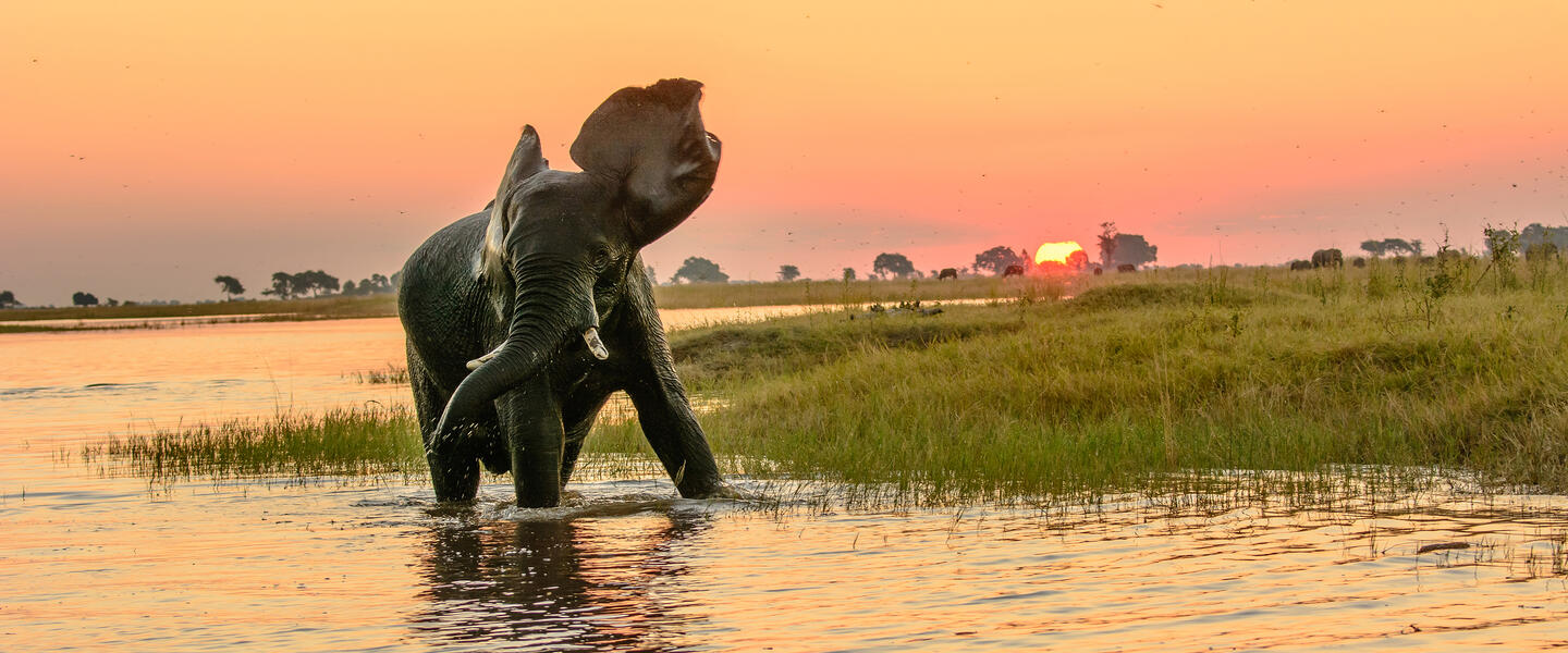 Namibia, Botswana und Simbabwe Namibia, Botswana und Simbabwe