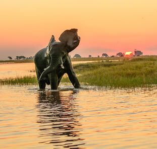 Namibia, Botswana und Simbabwe