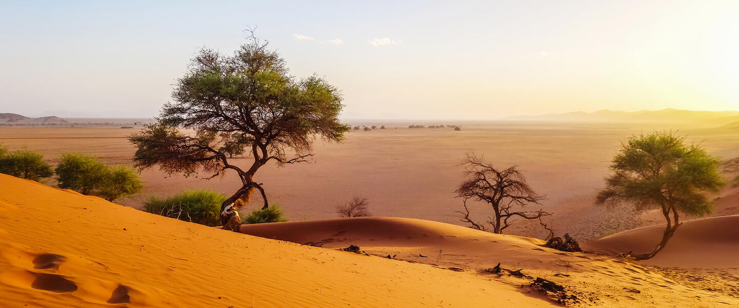 Die Höhepunkte Namibias