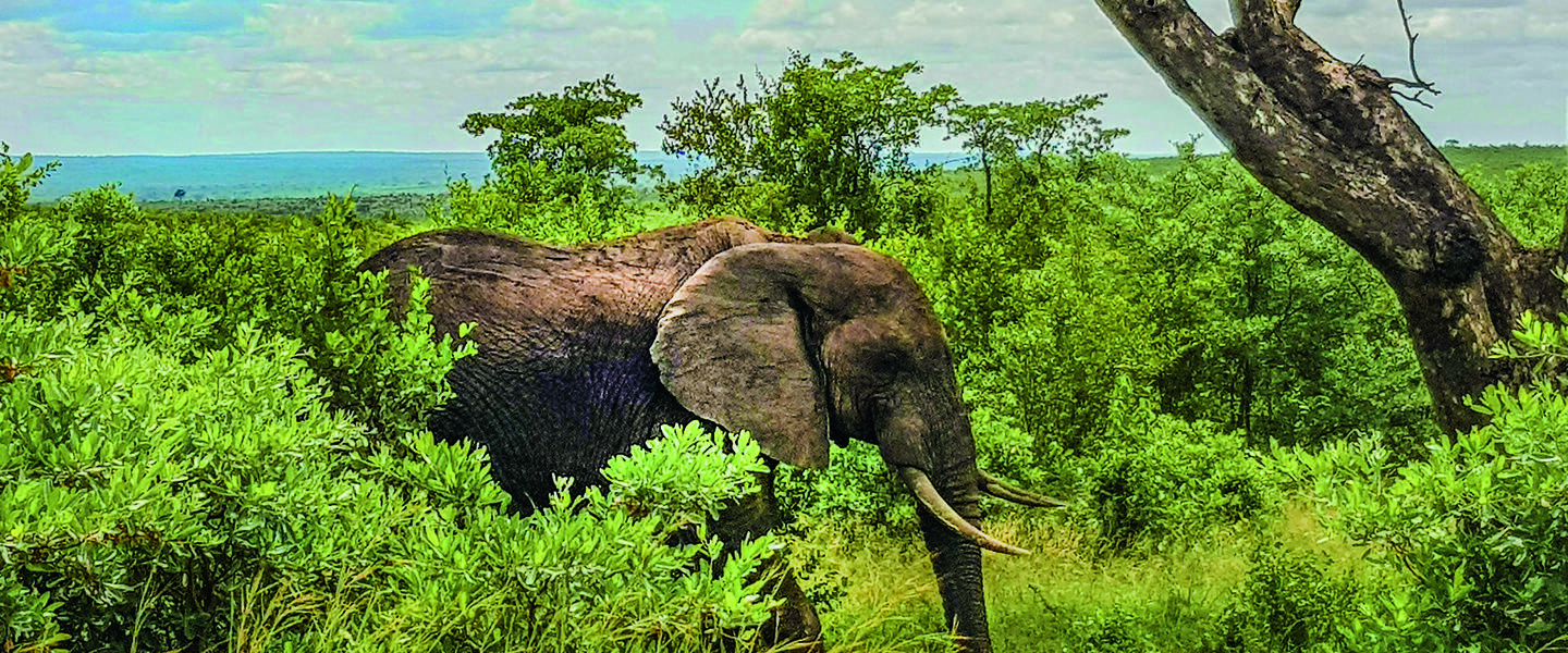 Höhepunkte Südafrikas