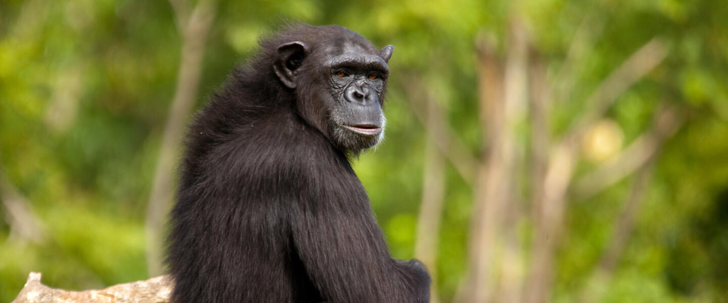 Höhepunkte Südafrikas