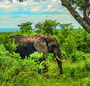 Höhepunkte Südafrikas