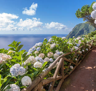 Azoren ─ Vulkaninsel im Atlantik