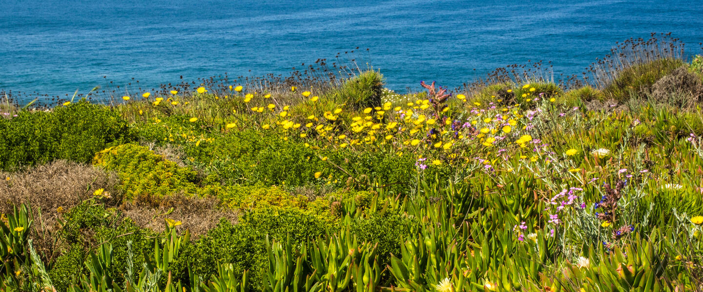 Portugals Algarve Portugals Algarve