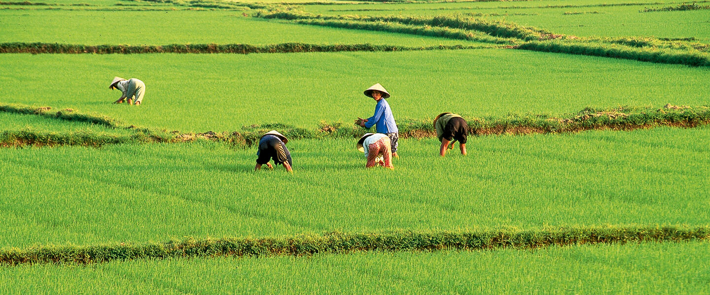Vietnam - Höhepunkte im Herzen Indochinas mit Meer