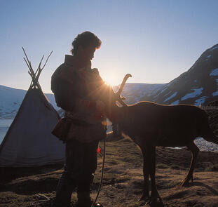Norwegen ─ Traumland zwischen Fjord und Fjell